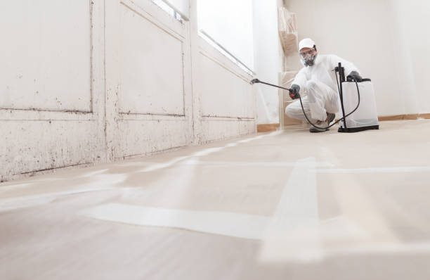 24/7 Emergency Attic Mold Remediation experts in Round Hill, VA
