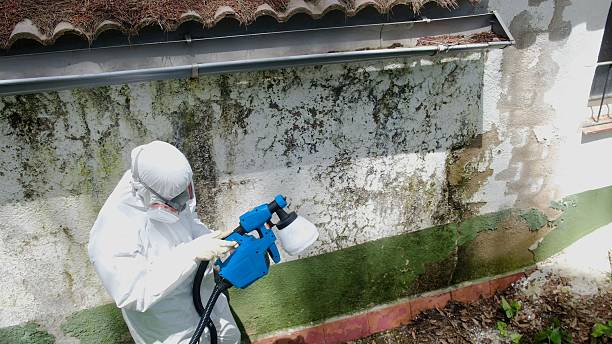 Top rated local Attic Mold Remediation specialists in Round Hill, VA